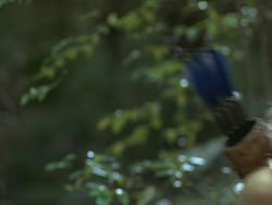extant_HTLJ_3x13-Encounter_01052