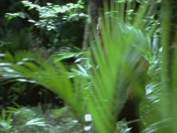 extant_HTLJ_3x13-Encounter_01251
