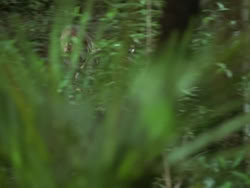 extant_HTLJ_3x13-Encounter_01265