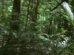 extant_HTLJ_3x13-Encounter_01369