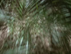 extant_HTLJ_3x13-Encounter_01372