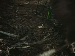 extant_HTLJ_3x13-Encounter_01373