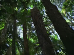 extant_HTLJ_3x13-Encounter_01378