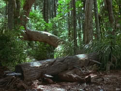 extant_HTLJ_3x13-Encounter_01389