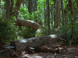 extant_HTLJ_3x13-Encounter_01391