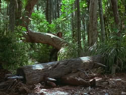 extant_HTLJ_3x13-Encounter_01392
