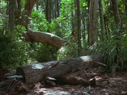 extant_HTLJ_3x13-Encounter_01395