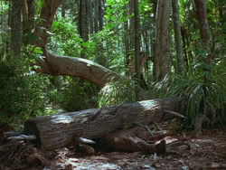 extant_HTLJ_3x13-Encounter_01396