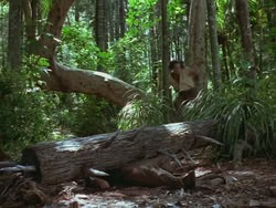 extant_HTLJ_3x13-Encounter_01397