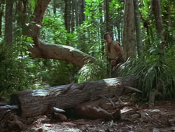 extant_HTLJ_3x13-Encounter_01398
