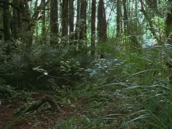 extant_HTLJ_3x13-Encounter_01814