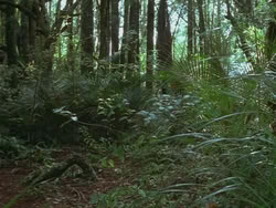 extant_HTLJ_3x13-Encounter_01815
