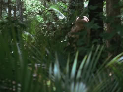 extant_HTLJ_3x13-Encounter_01826