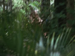 extant_HTLJ_3x13-Encounter_01828