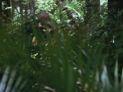 extant_HTLJ_3x13-Encounter_01846