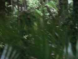 extant_HTLJ_3x13-Encounter_01847