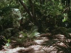 extant_HTLJ_3x13-Encounter_01857