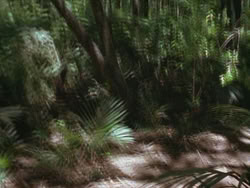 extant_HTLJ_3x13-Encounter_01858