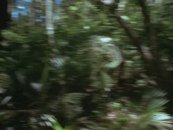 extant_HTLJ_3x13-Encounter_01859