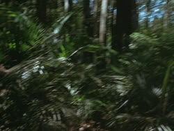 extant_HTLJ_3x13-Encounter_01860