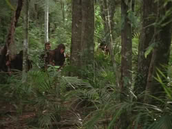 extant_HTLJ_3x13-Encounter_02455