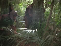 extant_HTLJ_3x13-Encounter_02460