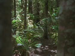 extant_HTLJ_3x13-Encounter_02478