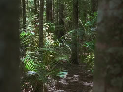 extant_HTLJ_3x13-Encounter_02479