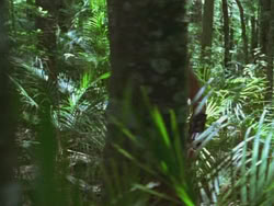 extant_HTLJ_3x13-Encounter_02503