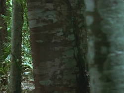 extant_HTLJ_3x13-Encounter_02507
