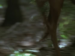 extant_HTLJ_3x13-Encounter_02539