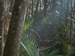 extant_HTLJ_3x13-Encounter_03528