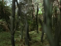 extant_HTLJ_3x13-Encounter_03557