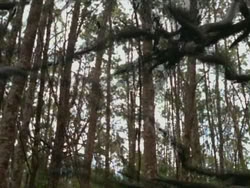 extant_HTLJ_3x13-Encounter_03566