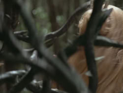extant_HTLJ_3x13-Encounter_03575