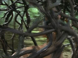 extant_HTLJ_3x13-Encounter_03595