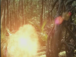 extant_HTLJ_3x13-Encounter_03607
