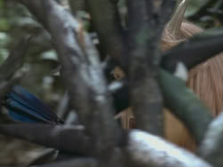 extant_HTLJ_3x13-Encounter_03613