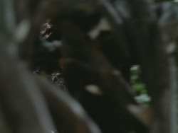 extant_HTLJ_3x13-Encounter_03674