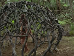 extant_HTLJ_3x13-Encounter_03795