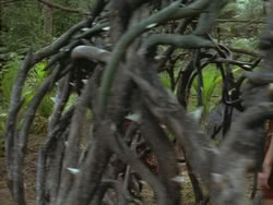 extant_HTLJ_3x13-Encounter_03803