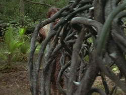 extant_HTLJ_3x13-Encounter_03804