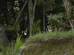 extant_HTLJ_3x13-Encounter_04126