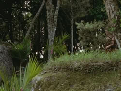 extant_HTLJ_3x13-Encounter_04127