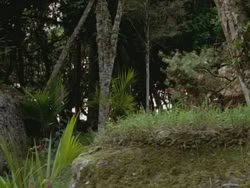 extant_HTLJ_3x13-Encounter_04128