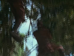 extant_HTLJ_3x13-Encounter_04385