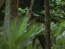 extant_HTLJ_3x13-Encounter_04709