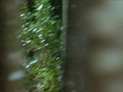 extant_HTLJ_3x13-Encounter_04732