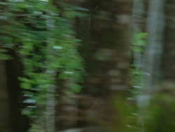 extant_HTLJ_3x13-Encounter_04733