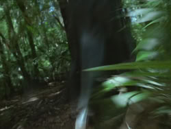 extant_HTLJ_3x13-Encounter_04749